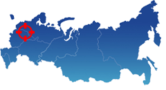 Доставка по Москве и области