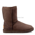UGG MENS Classic Short Chocolate