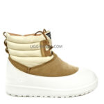 UGG Classic Mini Lace-Up Weather White Chestnut