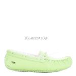 UGG Dakota Candy Night Green